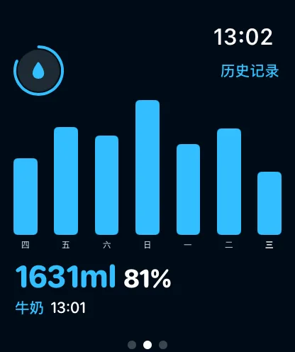 Watch 进度